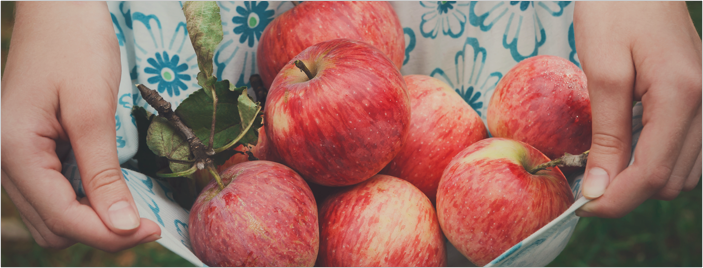 diabetes friendly apples