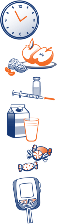 watch the clock during activity eat before and after activity - apples and nuts