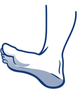 Foot icon