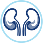 kidneys diabetes long term