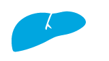 Liver icon