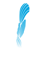 Muscle icon